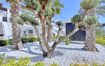 Property slide 36