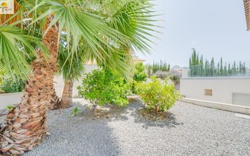 Property slide 7