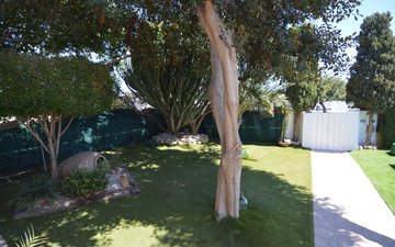 Property slide 11