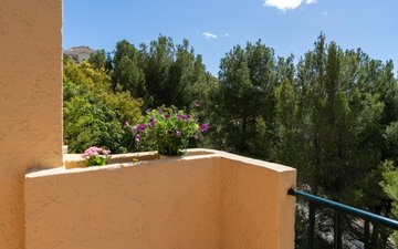 Property slide 12