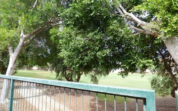 Property slide 13