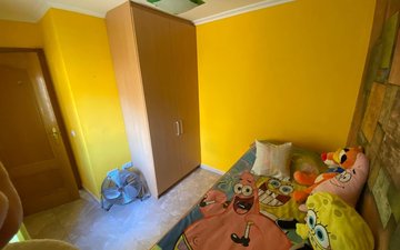 Property slide 13