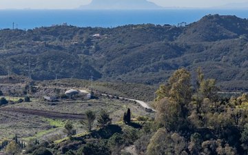 Diapositiva 12 de la propiedad