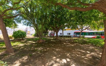 Property slide 31