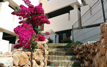 Property slide 25