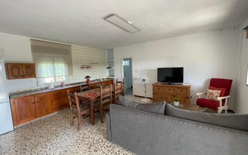 Property slide 13
