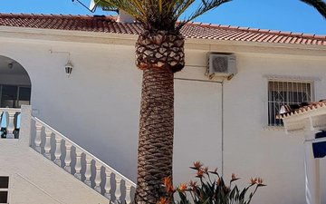 Property slide 11