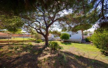 Property slide 31