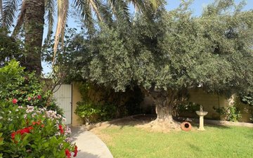 Слайд недвижимости 11