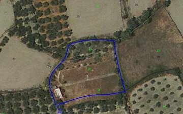 Property slide 4