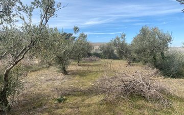 Property slide 8