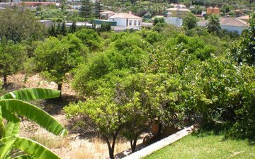 Property slide 15