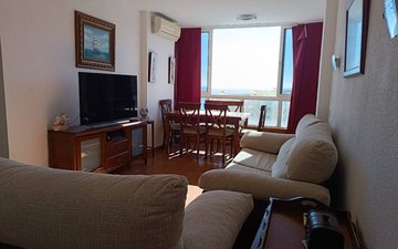 Property slide 11