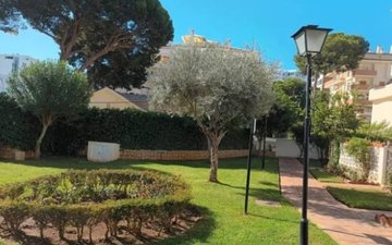 Property slide 11