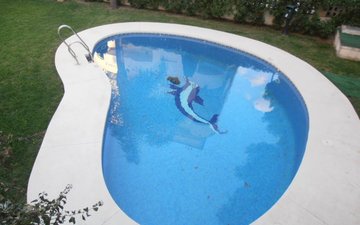 Property slide 1