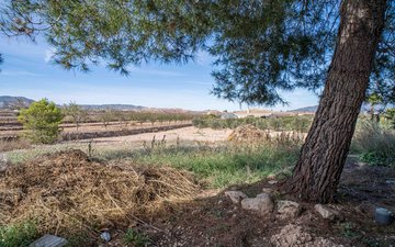 Property slide 24