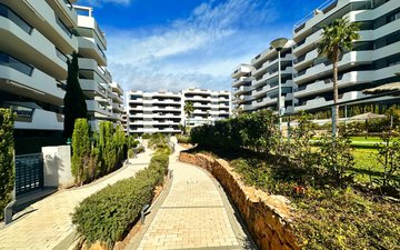 Property slide 31