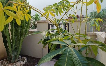 Property slide 18