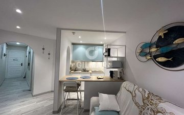 Property slide 3