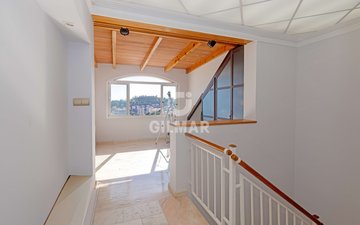 Property slide 50