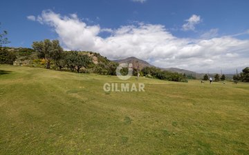 Property slide 39