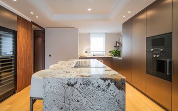Property slide 50