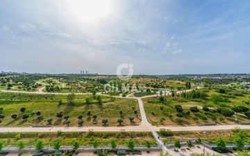 Property slide 25