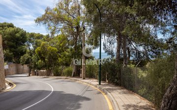 Property slide 25