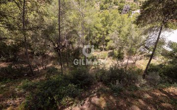 Property slide 21