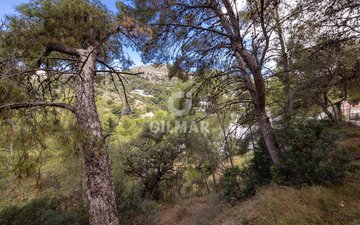 Property slide 24