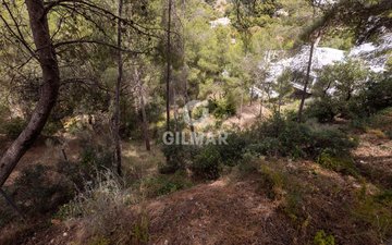 Property slide 23