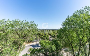 Property slide 26