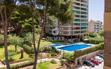Property slide 43