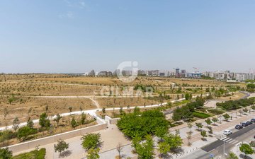 Property slide 31