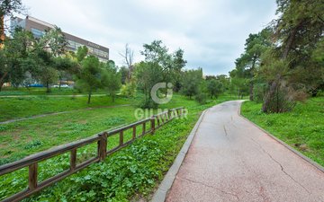 Property slide 6