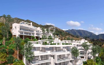 Property slide 13