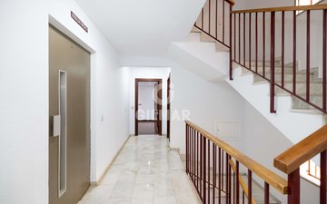 Property slide 11