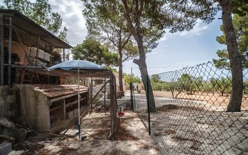 Property slide 30