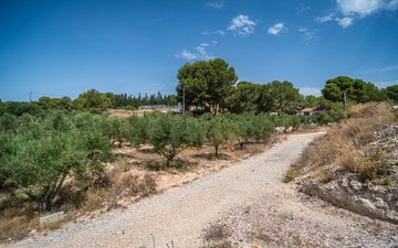Property slide 23