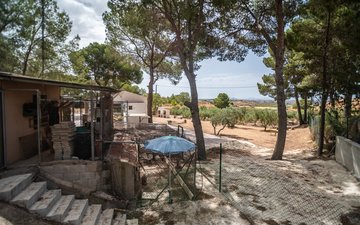 Property slide 29