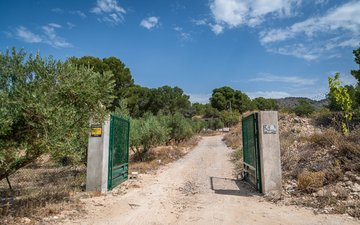 Property slide 24
