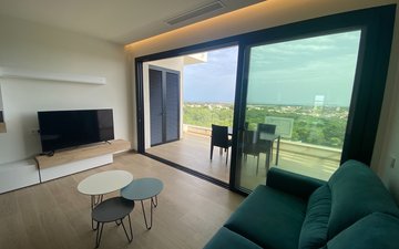 Property slide 9