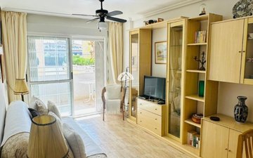 Property slide 13