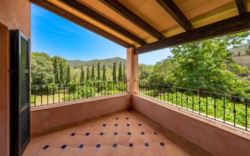Property slide 19