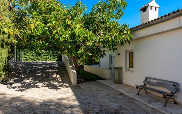 Property slide 25
