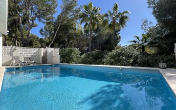 Property slide 36