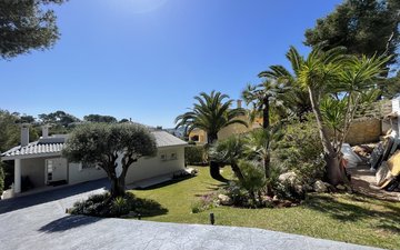 Property slide 50