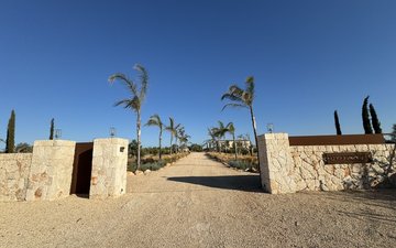 Property slide 25