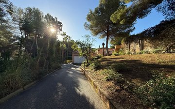 Property slide 36