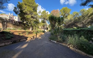 Property slide 29